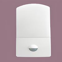 Siyah Taban 10W 6500K 1